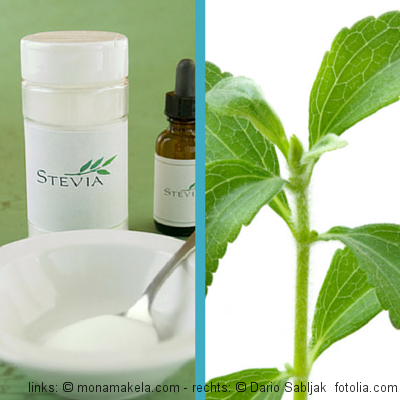 Rechts: Die Stevia Pflanze - Links: Pulver und Liquid aus Stevia hergestellt